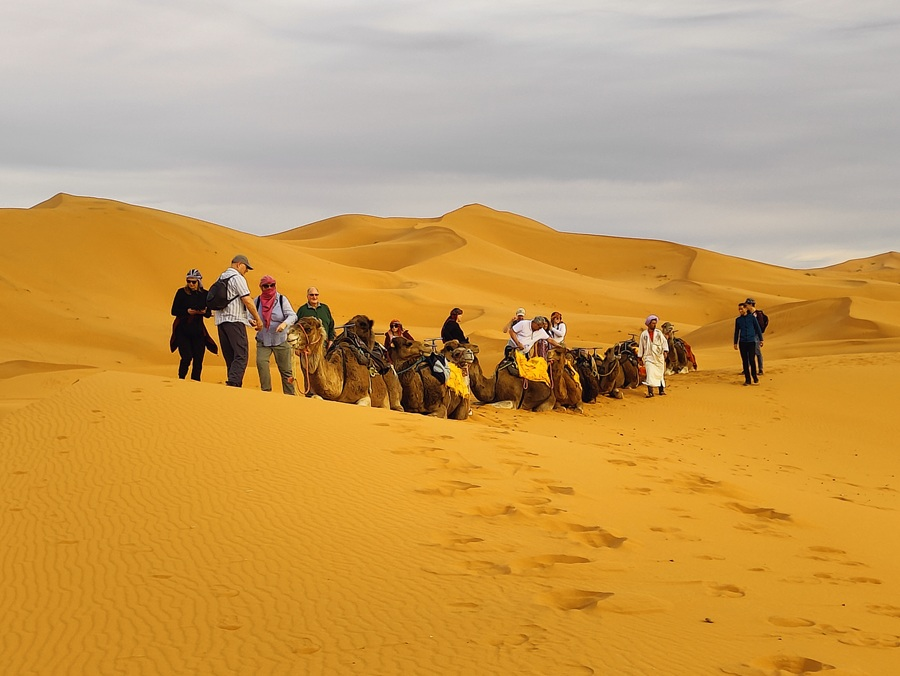 riding a camel desert dunes